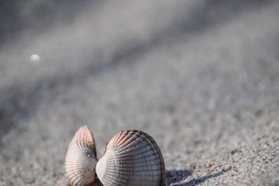 venta de Semana 26 En Bahía Azul