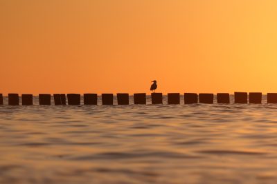 venta de Semana 508/7 y 8 En Tropical Park